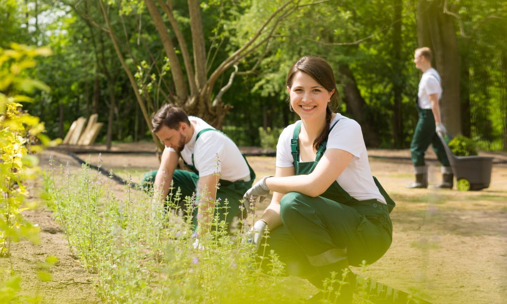 Groundskeeping Training