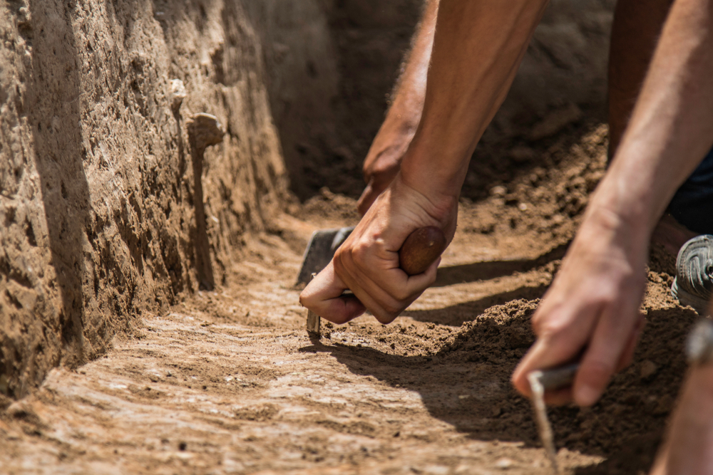 Archaeological Fieldwork Techniques: Hands-On Training