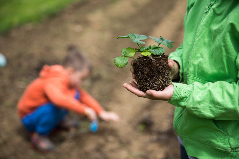 Biodynamic Farming and Gardening: Planting With the Lunar Calendar