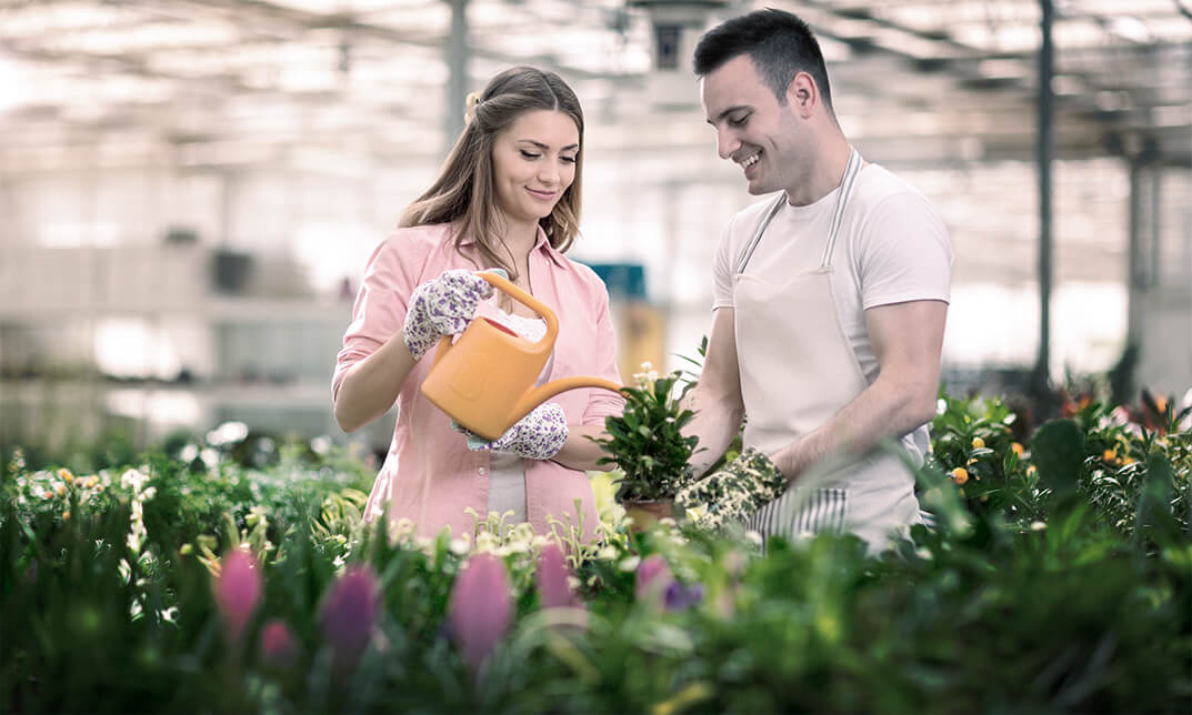 Diploma in Greenhouse Growing