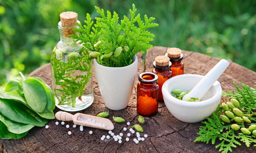 Naturopathy Fundamentals