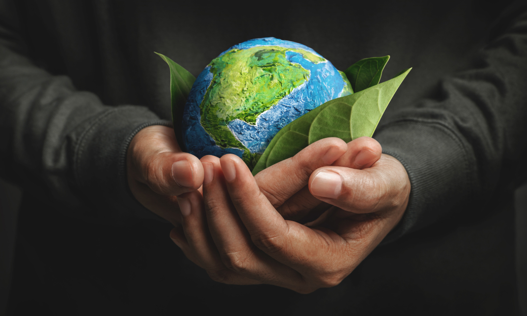 Environmental Awareness Training [Video Course]