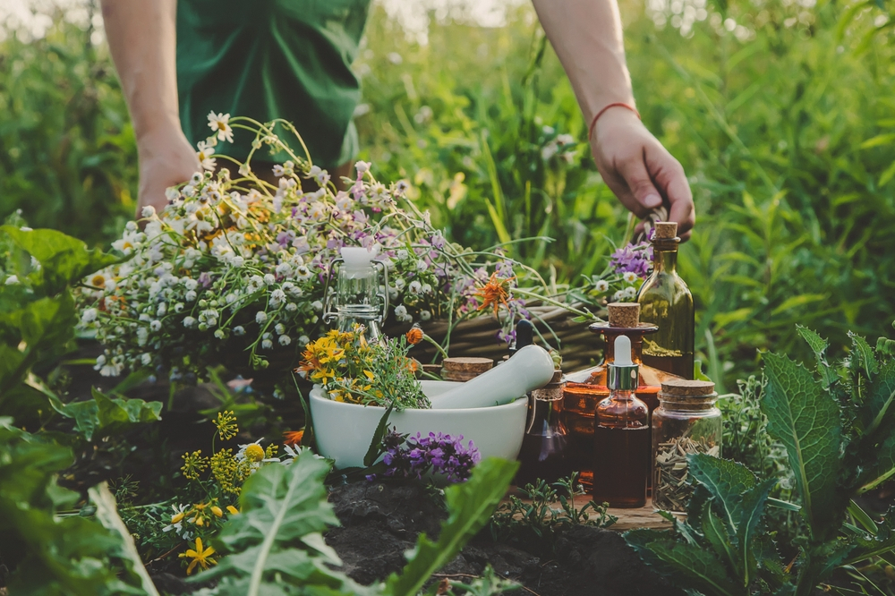 Herbalist Course: Understanding the Fundamentals of Herbal Medicine