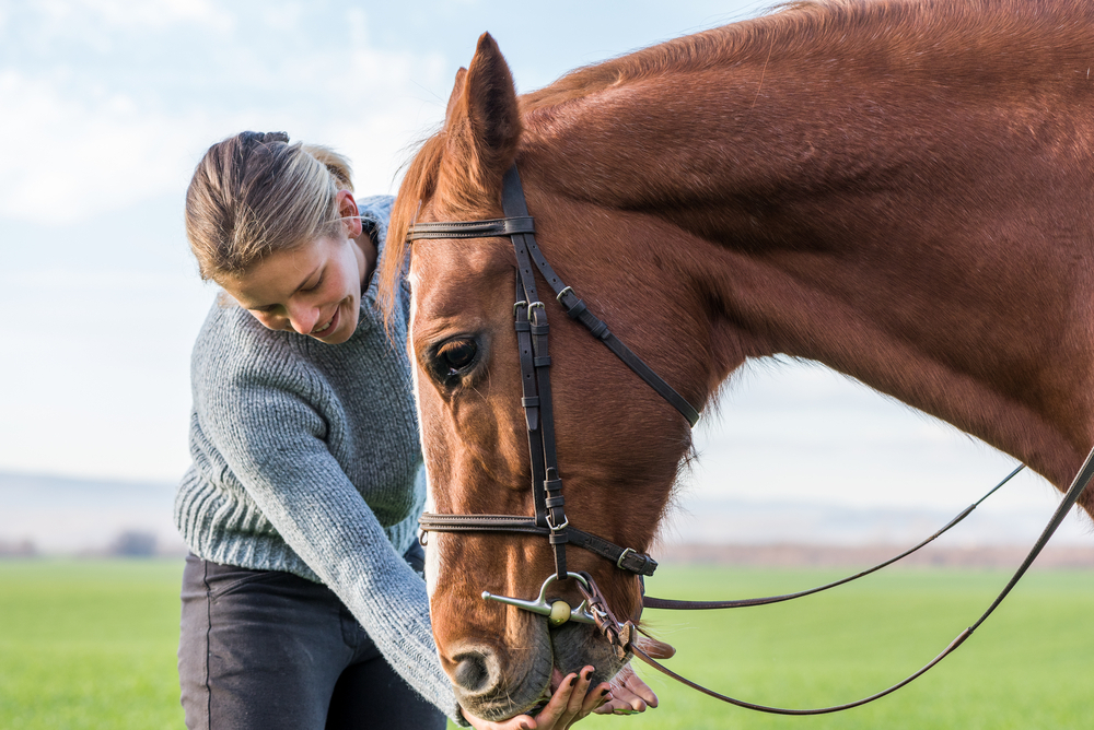 Horse Care Stable Management Course