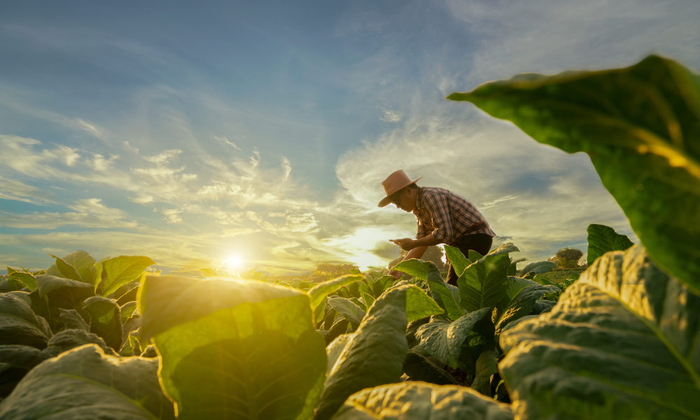 Sustainable Agriculture Course