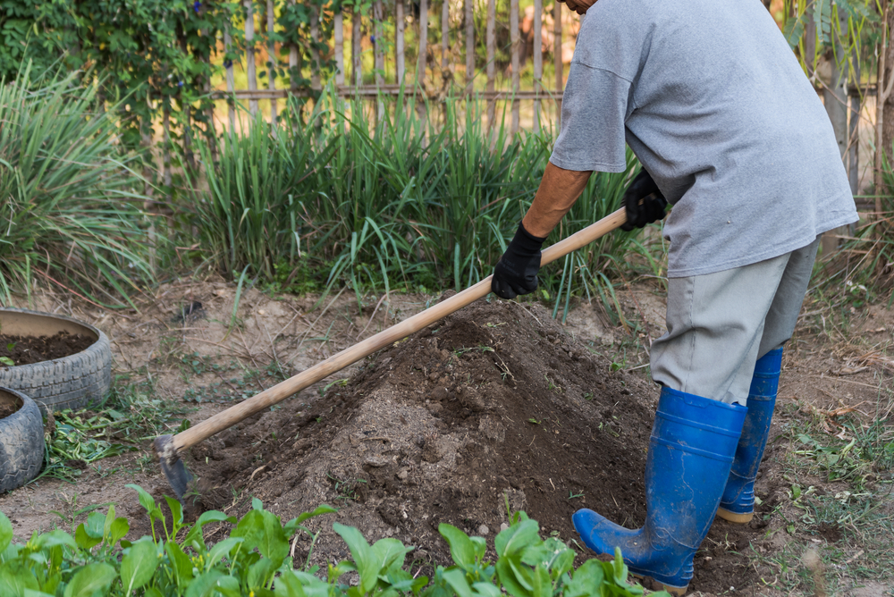 Groundskeeping Course: Maintaining Outdoor Spaces