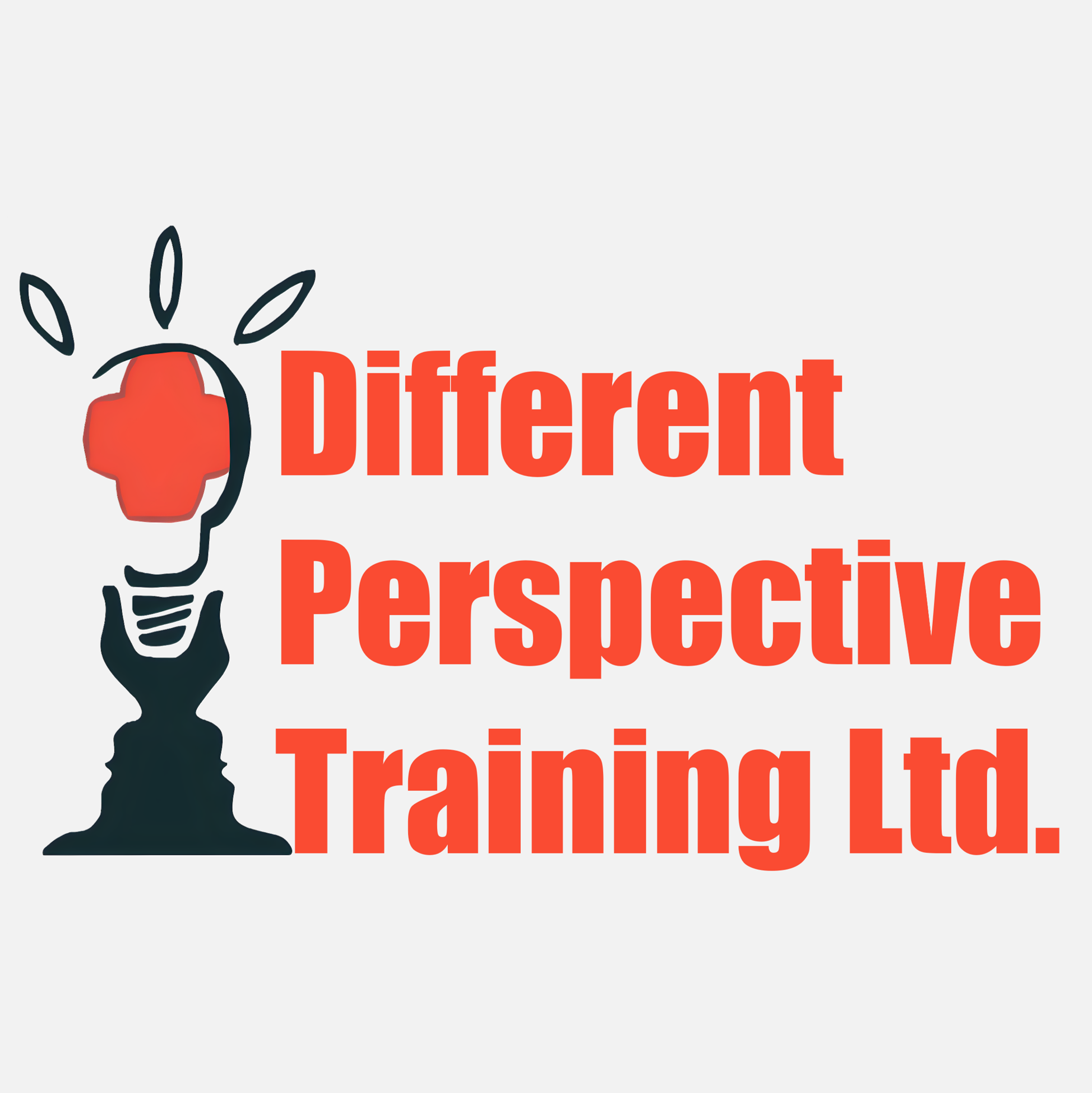 Different Perspective Training Ltd. logo