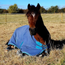 Hartwell Riding Stables Ltd. logo