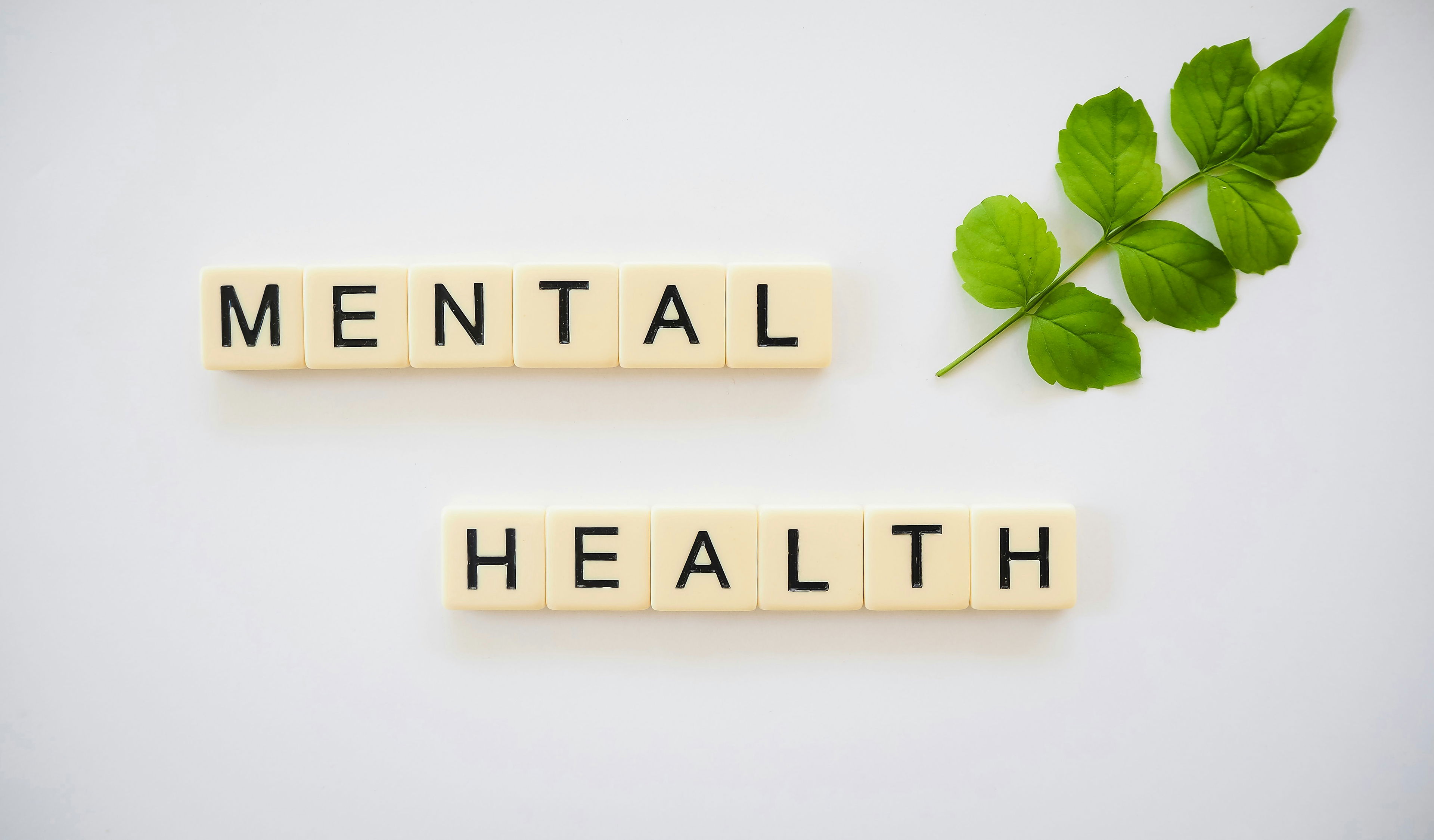 Mental Health Essentials for Pharmacists