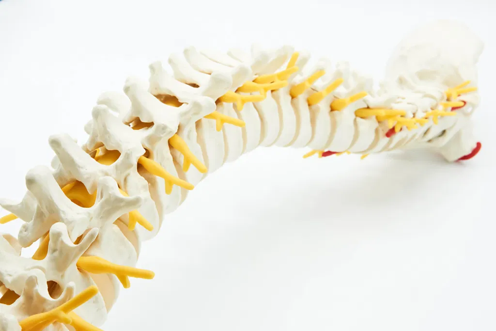 Moving and Handling Level 2 (CSTF)