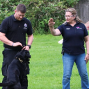 Born To Run Canine Massage & Fitness Suffolk logo