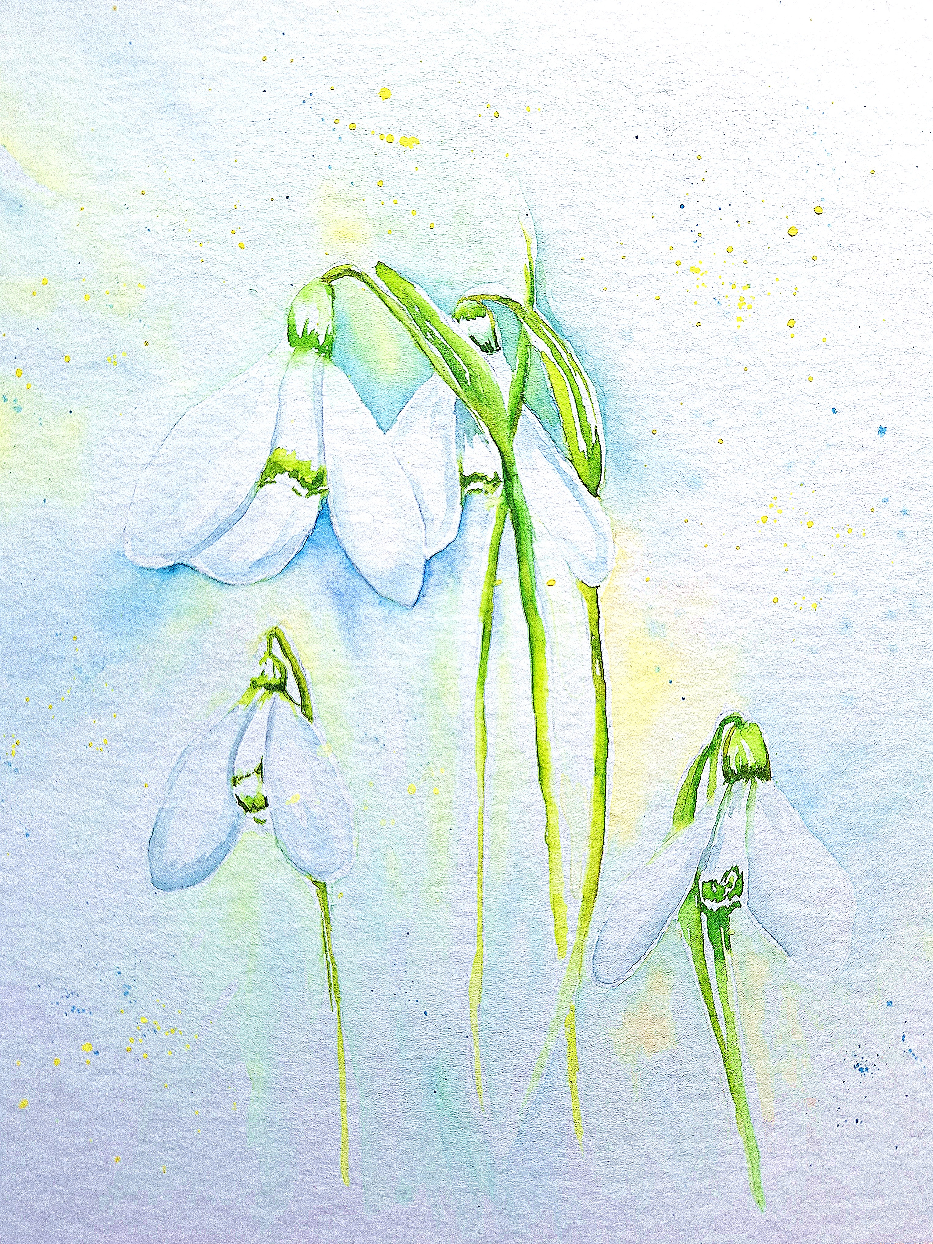 Watercolour snowdrops workshop - with Helen of Evendawn Arts