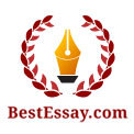 Thebestessays.co.uk logo