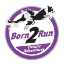 Born 2 Run Canine Adventures And Training logo