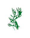 New Forest Golf Club logo