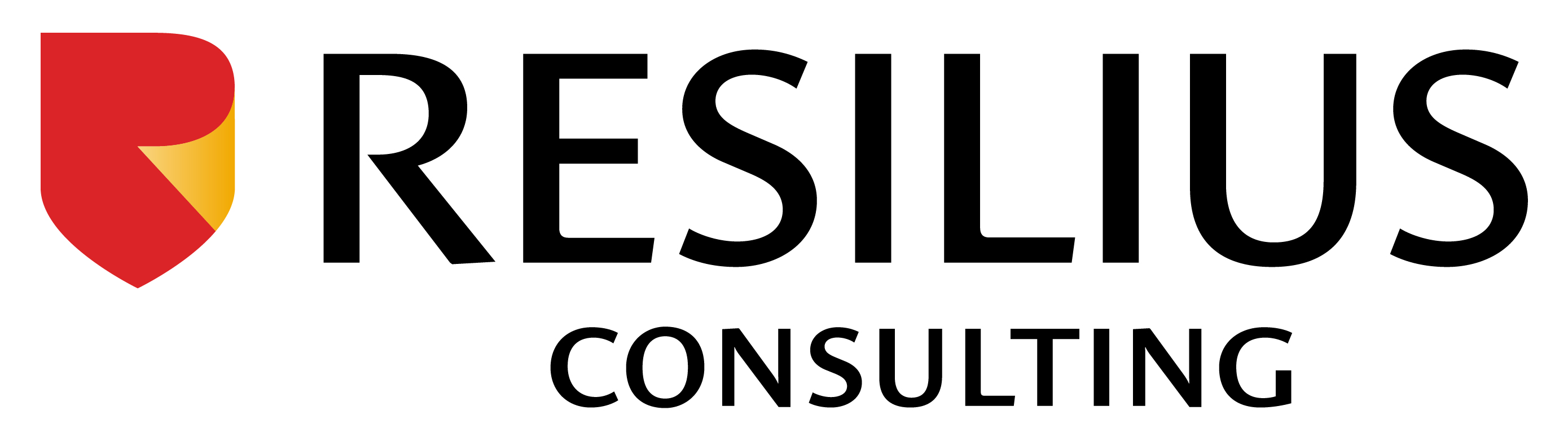 Resilius Consulting Ltd