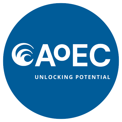 Academy of Executive Coaching Ltd (AoEC) logo