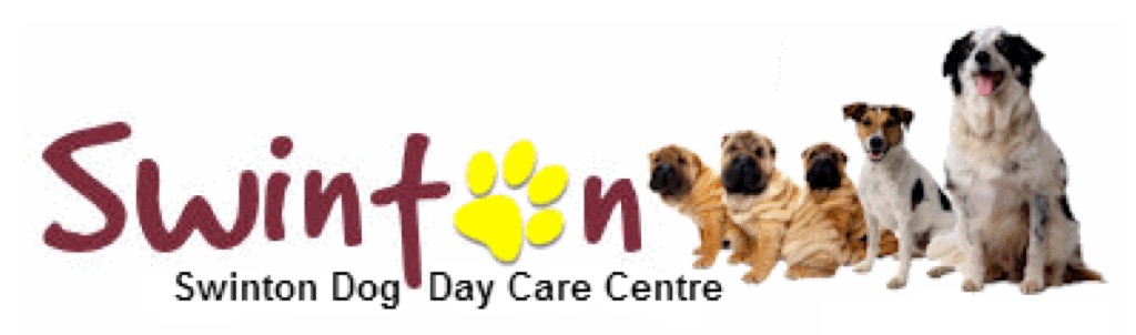 Swinton Dog Training and Daycare Centre logo