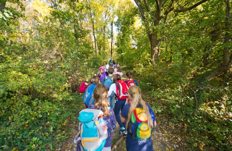 Forest Schooling