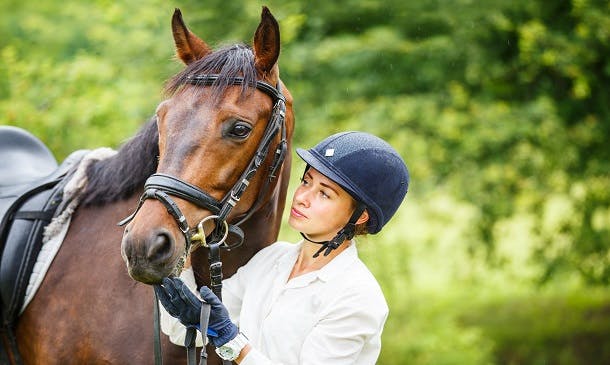 Equine Psychology