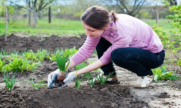 Horticultural Worker Course