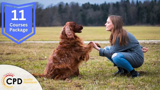 Dog Training Diploma - CPD Accredited