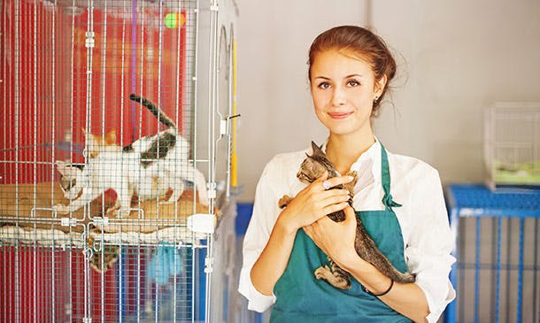 Animal Care Level 3 Course