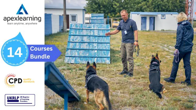 Guide Dog Trainer - CPD Certified