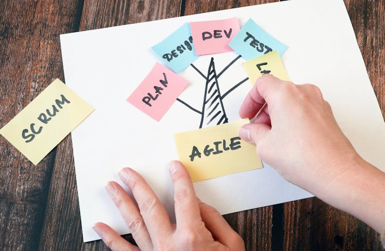 Agile Scrum Master Certification