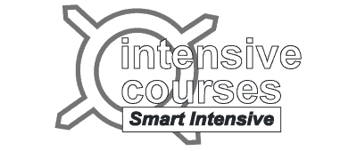 Intensive Courses Driving School logo