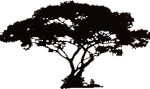 Marula Consultancy logo