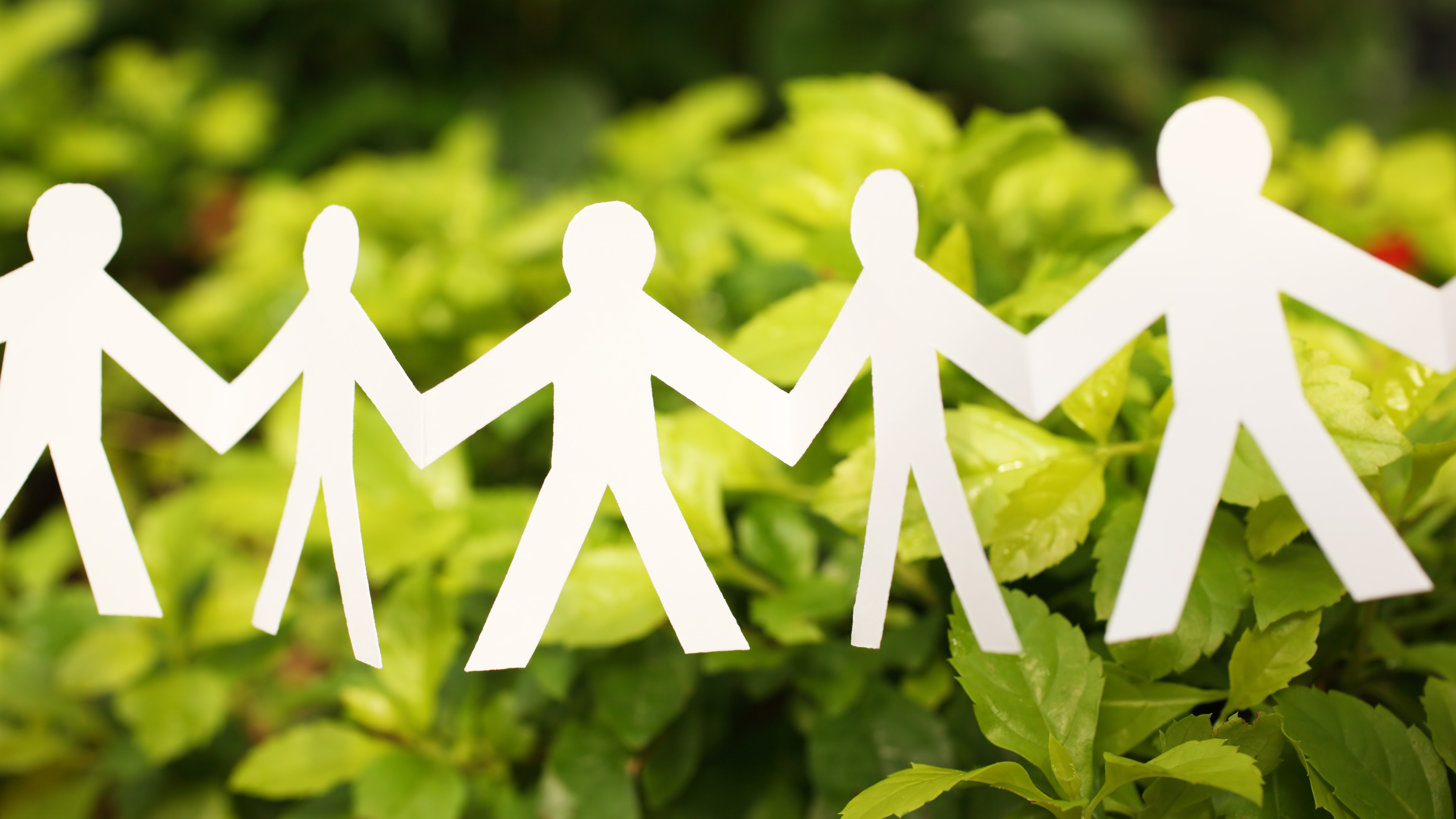 Environmental Sustainability Awareness