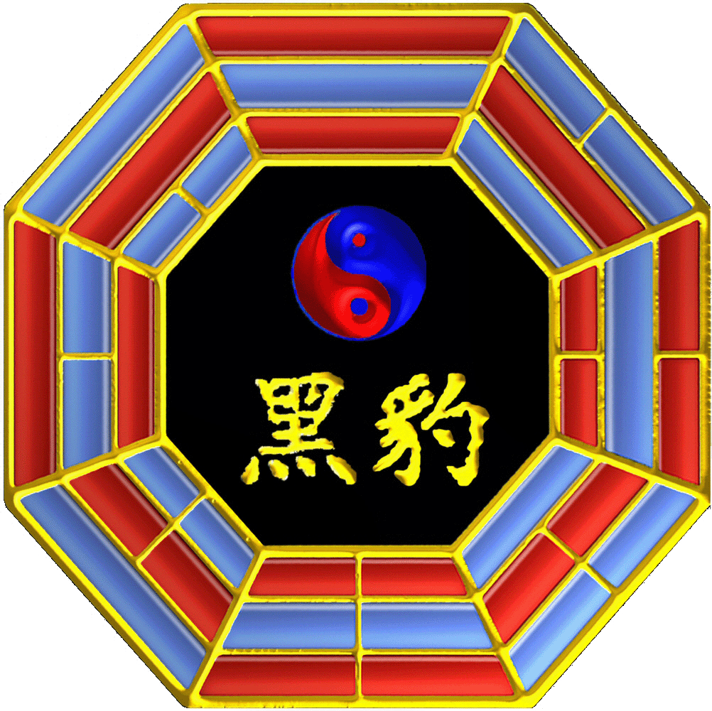 Shaolin Kickboxing logo