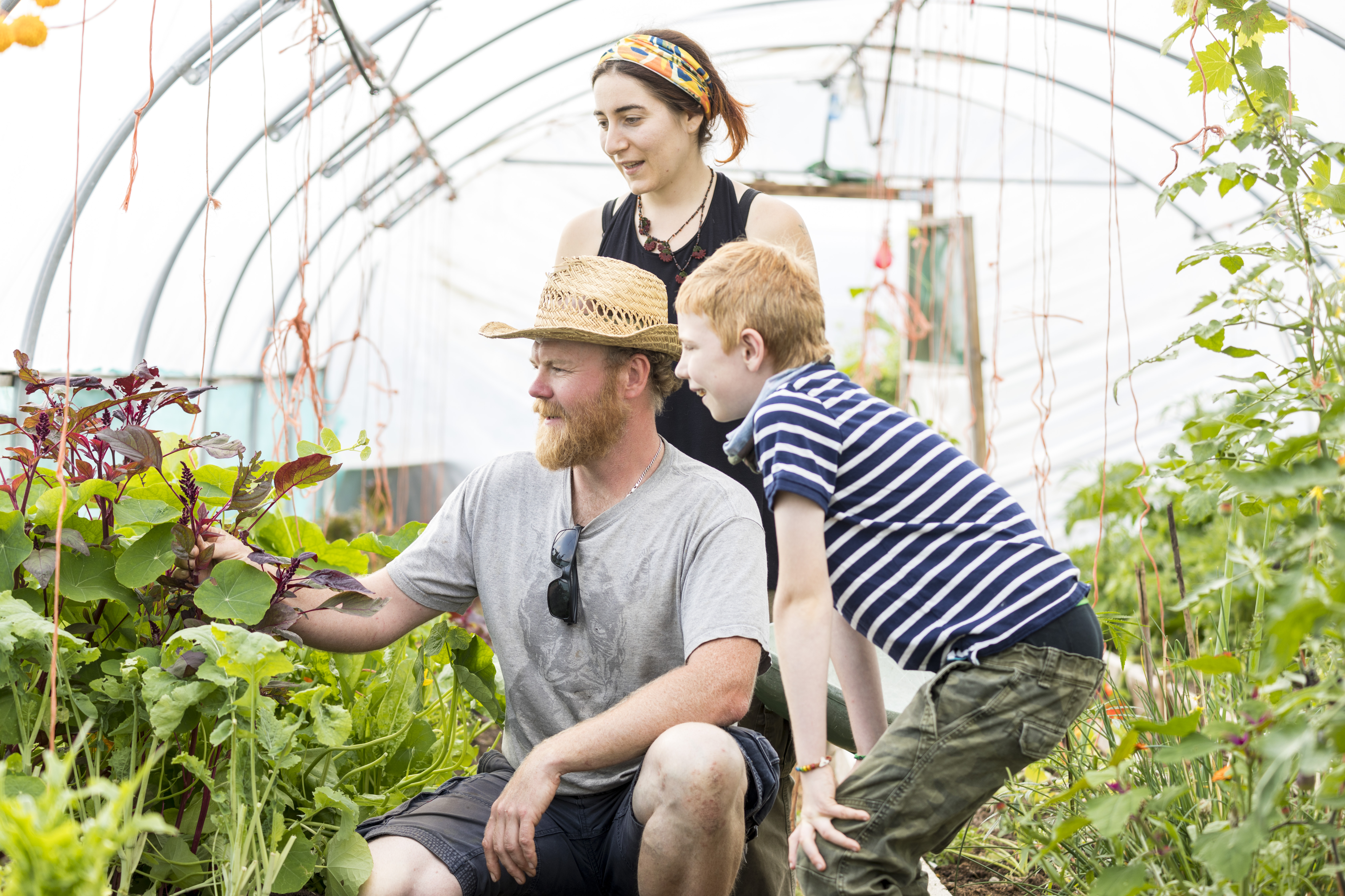 Rebel Farmer Tipi Experience