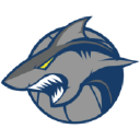 B.Braun Sheffield Sharks logo