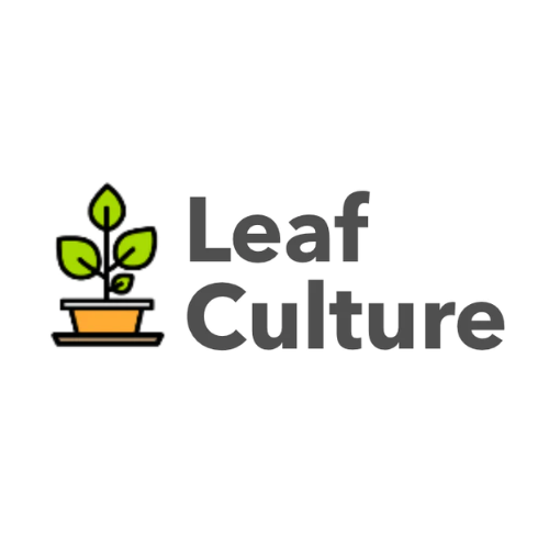 Leaf Culture logo