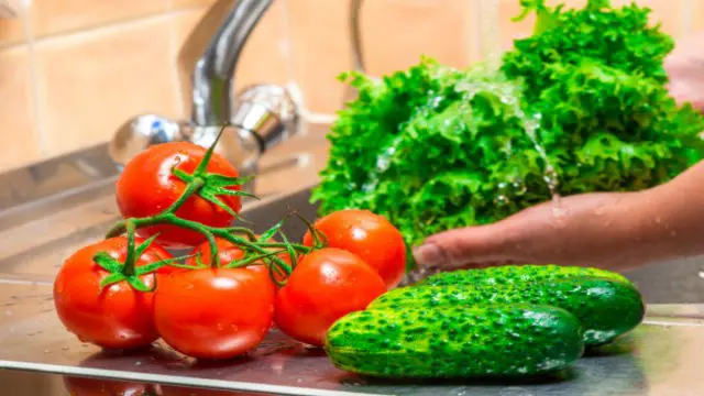 Food Hygiene Training Course