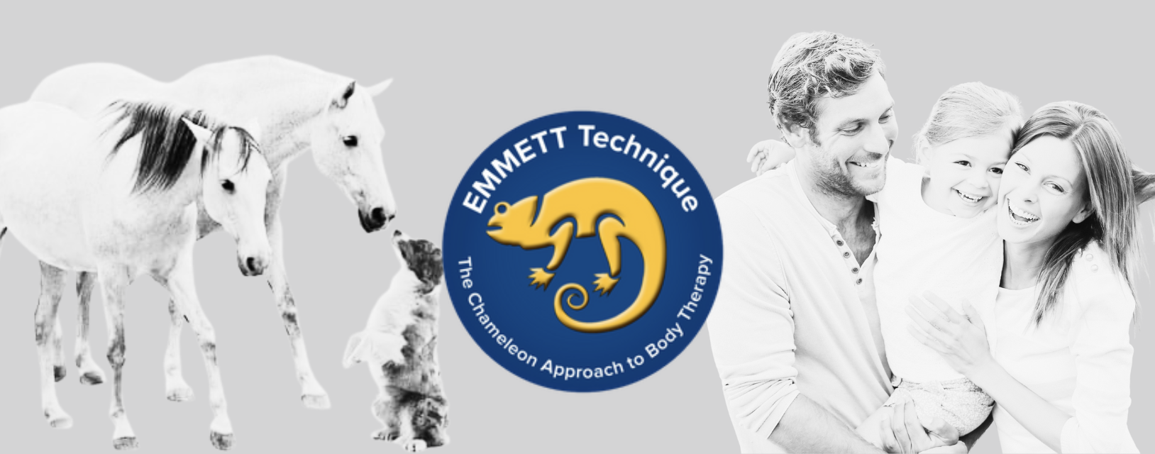 Emmett Technique Therapies Uk