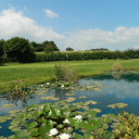 Coed-Y-Mwstwr Golf Club logo