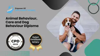 Animal Behaviour, Care and Dog Behaviour Diploma