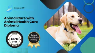 Animal Care with Animal Health Care Diploma