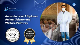 Access to Level 1 Diploma Animal Science and Welfare Pathway