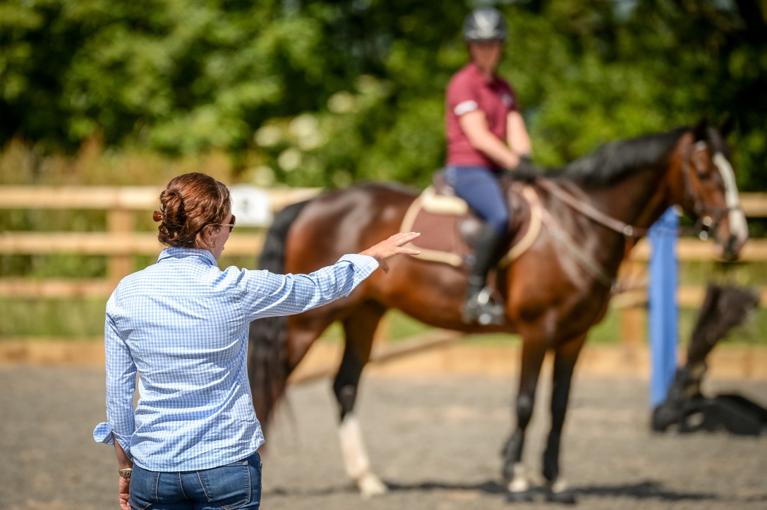 Lincomb Equestrian