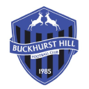 Buckhurst Hill Football Club logo