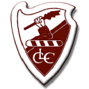 Lydney Cricket Club logo