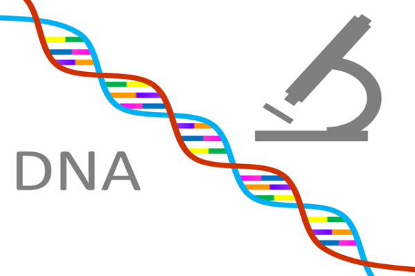 Genetics Course