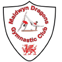 Maldwyn Dragons Gymnastic Club logo