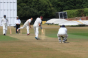 Isle Of Wight Cricket Board logo