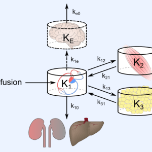 Pharmacokinetics and Pharmacodynamics