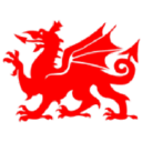 Cardiff University Jiu Jitsu Club logo